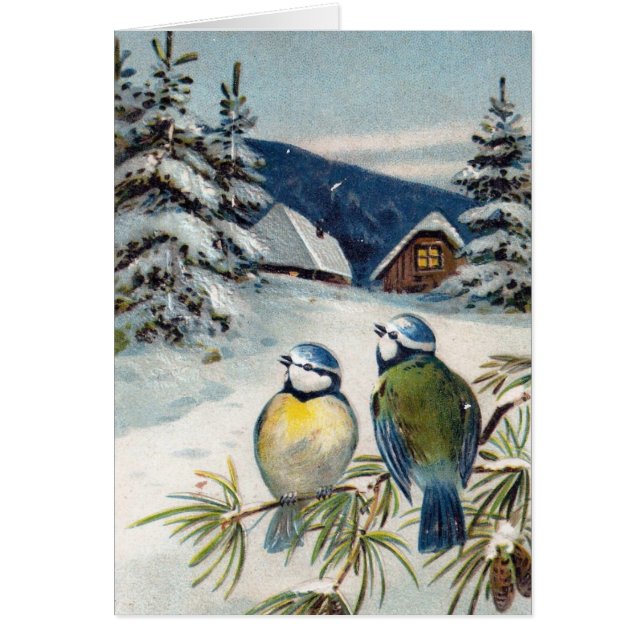Vintage Winter Postcard With Birds (Front)
