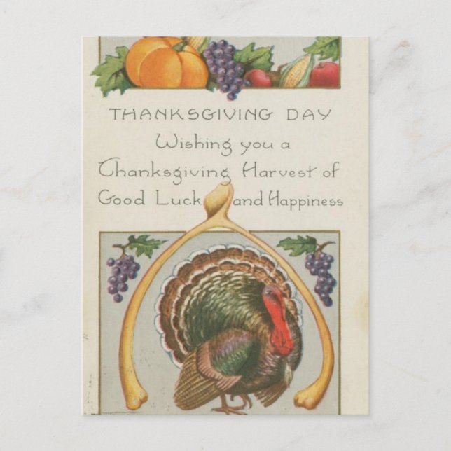 Vintage Wishbone Turkey Grapes Thanksgiving Postcard (Front)