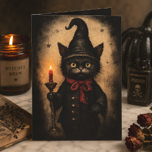 Vintage Witch Black Cat Gothic Halloween Postcard