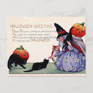 Vintage Witch Black Cat Owl Halloween Postcard