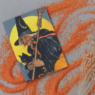 Vintage Witch with black cat Card