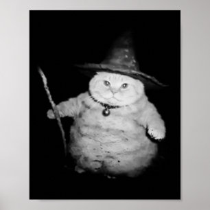 Vintage Wizard Cat Weird Funny Halloween Cat Meme  Poster
