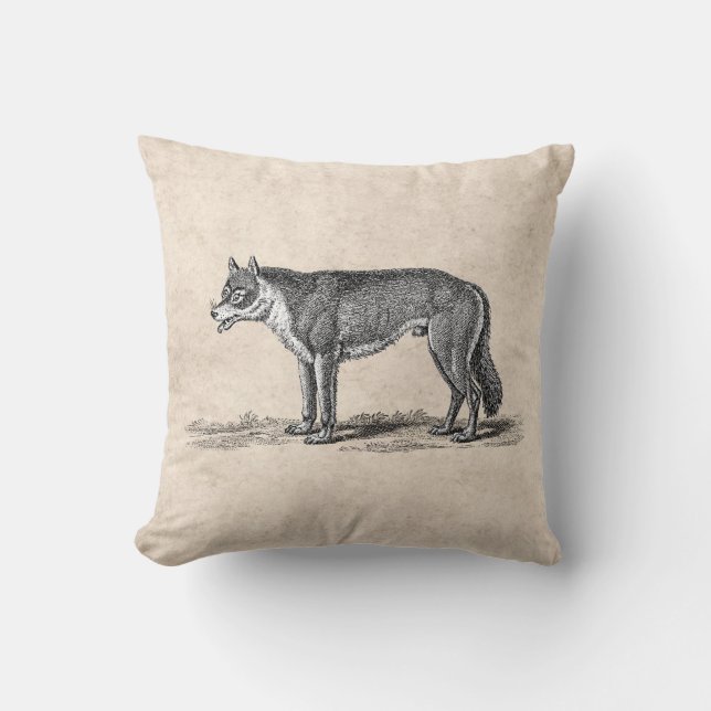 Vintage Wolf Illustration - 1800's Wolves Template Cushion (Front)