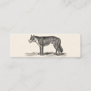 Vintage Wolf Illustration - 1800's Wolves Template Mini Business Card