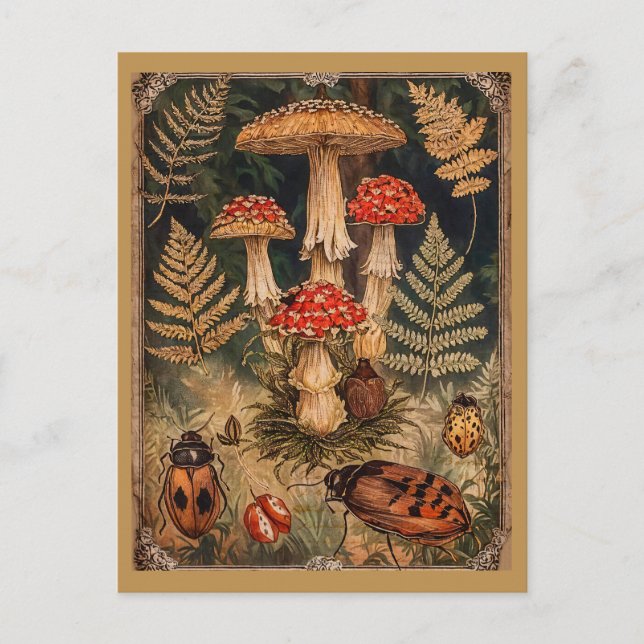 Vintage Woodland Mushrooms Autumn Greeting  Postcard (Front)