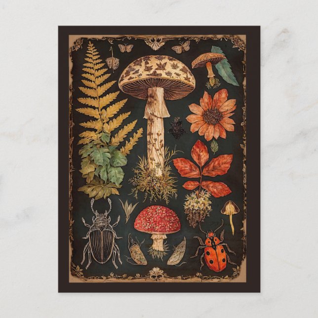 Vintage Woodland Toadstool Cottagecore  Postcard (Front)