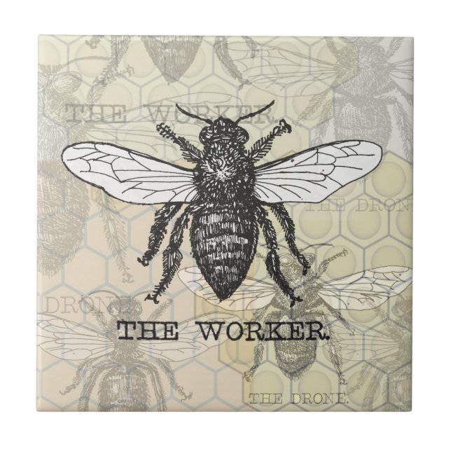 Vintage Worker Bee Illustration Art Tile (Front)