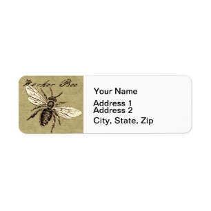 Vintage Worker Bee Insect Illustration Antique