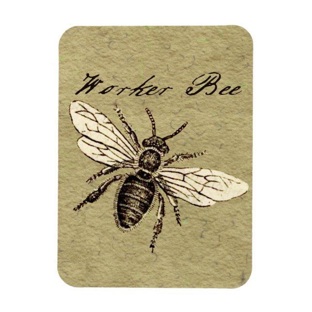 Vintage Worker Bee Insect Illustration Antique Magnet (Vertical)