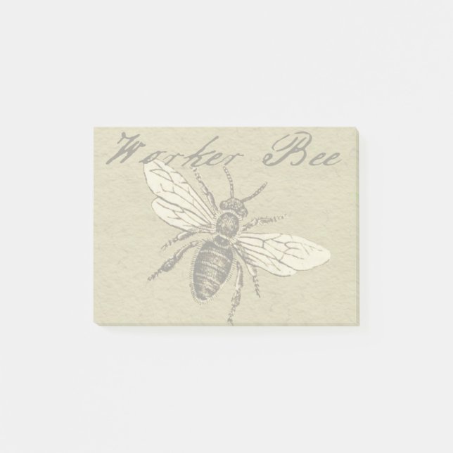 Vintage Worker Bee Insect Illustration Antique Post-it Notes (Front)