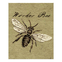 Vintage Worker Bee Insect Illustration Antique