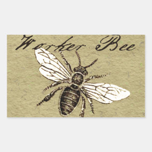 Vintage Worker Bee Insect Illustration Antique Rectangular Sticker