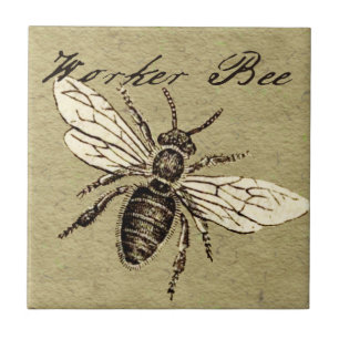 Vintage Worker Bee Insect Illustration Antique Tile