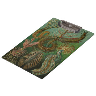 Vintage Worms Annelids Chaetopoda by Ernst Haeckel Clipboard