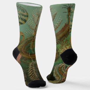 Vintage Worms Annelids Chaetopoda by Ernst Haeckel Socks