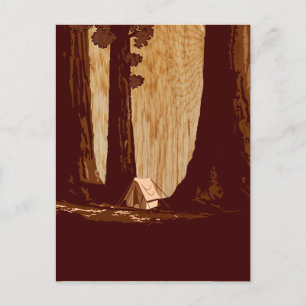 Vintage WPA Camping in Sequoia National Park Postcard