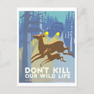 Vintage WPA Poster: "Don't Kill Our Wild Life" Postcard