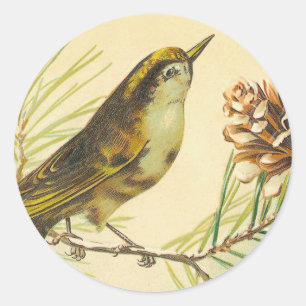Vintage Wren Stickers