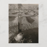 Vintage WW2 Fallen Soldier Grave