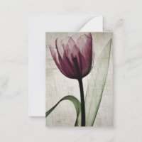 Vintage X-Ray Tulip