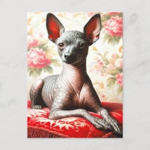 Vintage Xoloitzcuintle Illustration Postcard