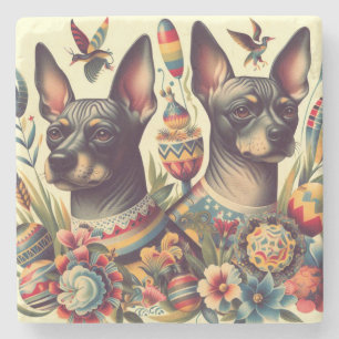 Vintage Xoloitzcuintle Illustration Stone Coaster