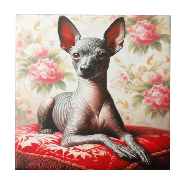 Vintage Xoloitzcuintle  Illustration Tile (Front)