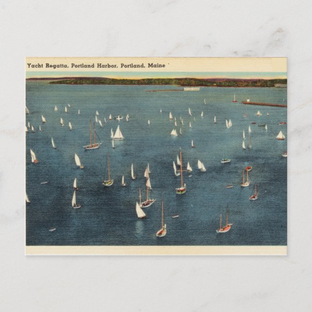 Vintage, Yacht Regatta, Harbour, Portland Maine Postcard (Front)