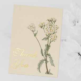 Vintage Yarrow Botanical Watercolor Thank You