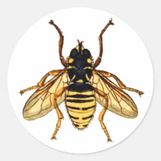 Vintage Yellow Bee Classic Round Sticker