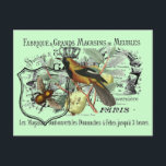 Vintage Yellow Bird and Bee Collage Postcard<br><div class="desc">This lovely french ephemera collage was created using graphics from http://www.graphicsfairy.blogspot.com</div>