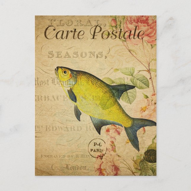 Vintage Yellow Bream Fish Floral French Postcard (Front)