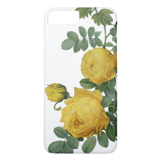 Vintage yellow rose painting case (Back)
