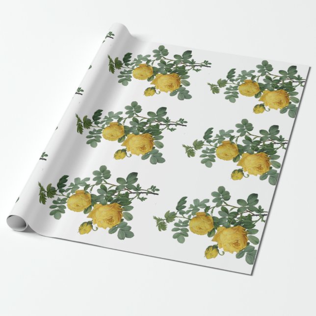Vintage yellow rose painting gift paper (Unrolled)