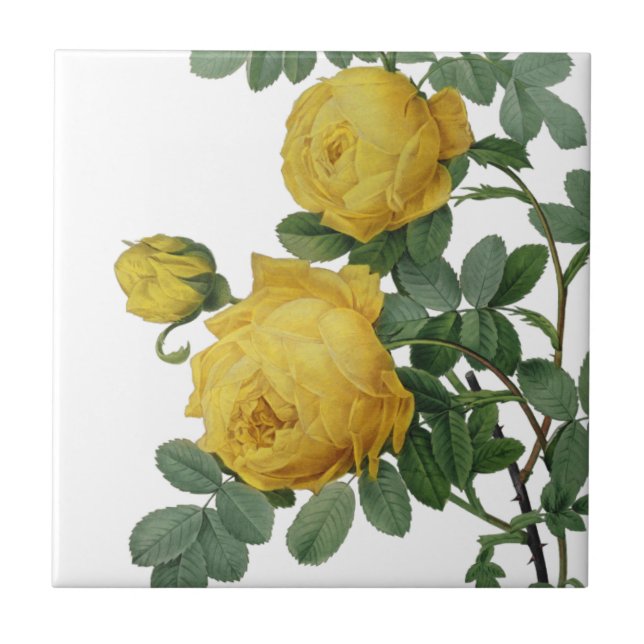 Vintage yellow rose painting tile (Front)
