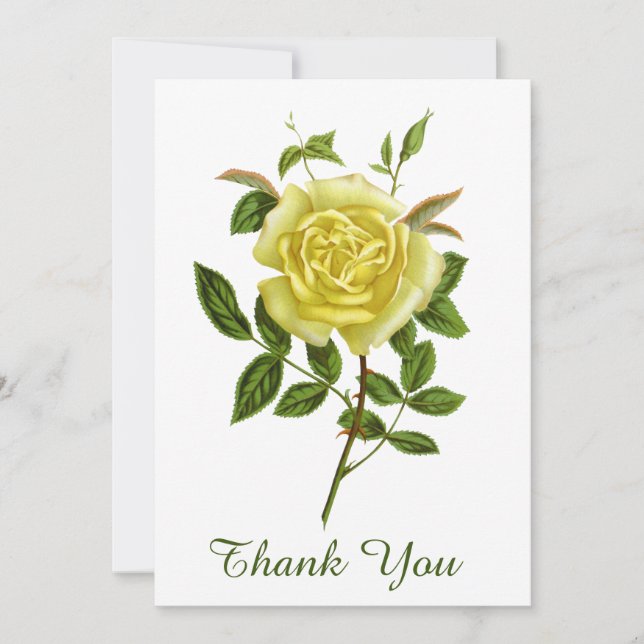 Vintage yellow rose thank you greeting card (Front)