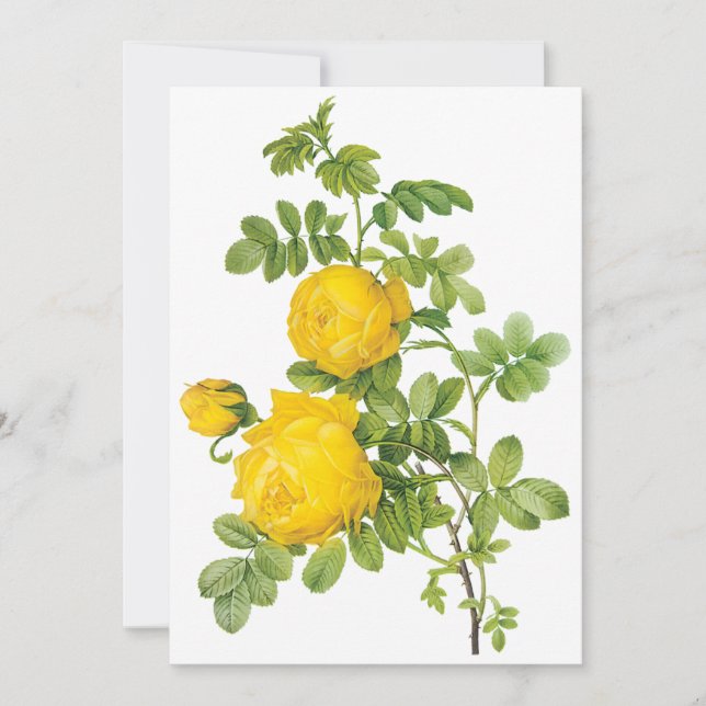 Vintage Yellow Roses by Redoute Invitation (Front)