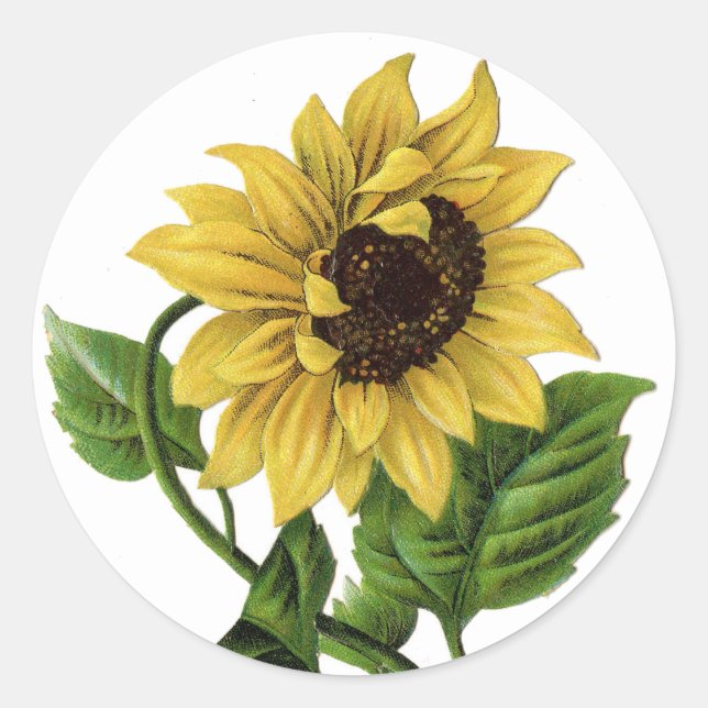 Vintage Yellow Sunflower Graphic Flower Sticker (Front)