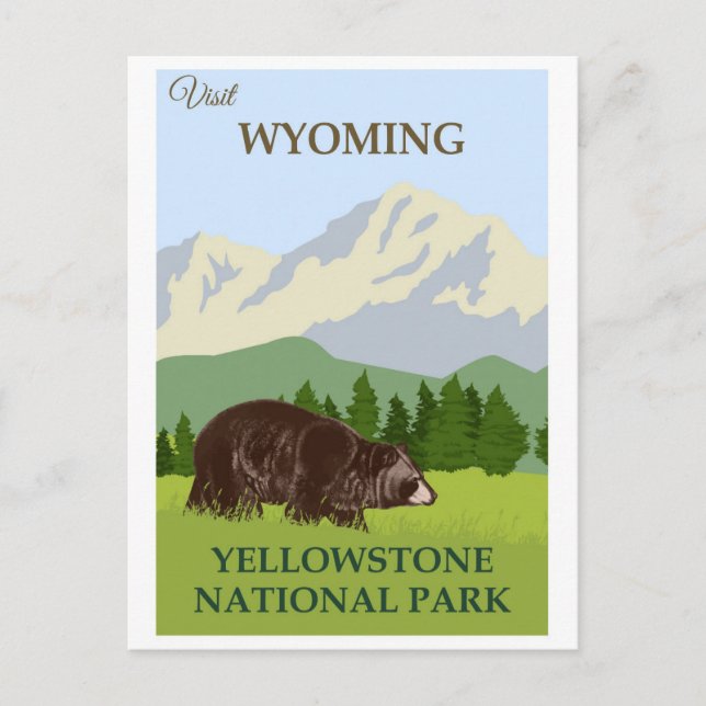 Vintage Yellowstone National Park Bear Postcard (Front)
