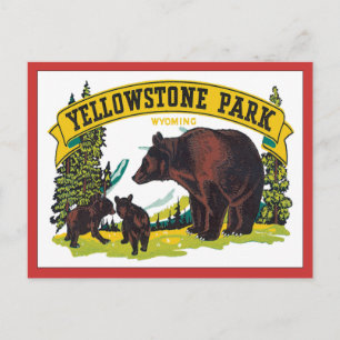 Vintage Yellowstone Park Wyoming USA Postcard