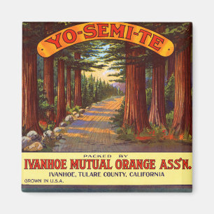 Vintage Yo-Semi-Te Orange Label Magnet