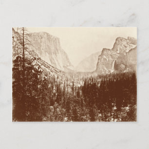 Vintage Yosemite National Park Postcard