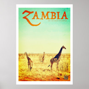 Vintage Zambia africa safari Poster