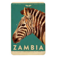 Vintage Zambia Zebra Travel
