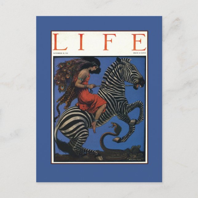 Vintage Zebra Art Nouveau Woman Postcard (Front)