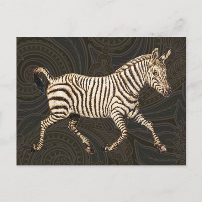 Vintage zebra running with paisley design postcard (Front)