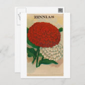 vintage zinnia seed packet postcard (Front/Back)