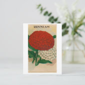 vintage zinnia seed packet postcard (Standing Front)