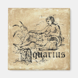 Vintage Zodiac Aquarius Magnet