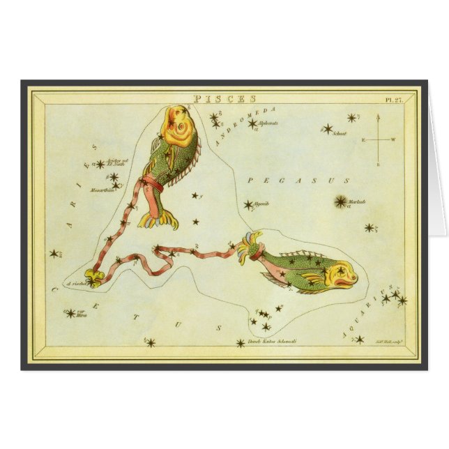 Vintage Zodiac Astrology Pisces Fish Constellation (Front Horizontal)